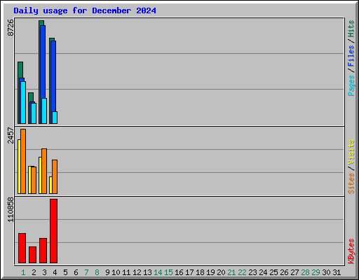 Daily usage for December 2024