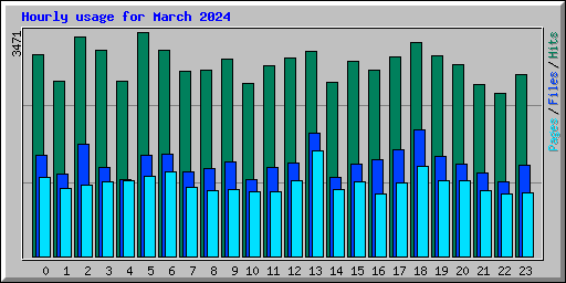 Hourly usage for March 2024