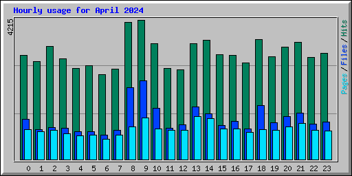 Hourly usage for April 2024