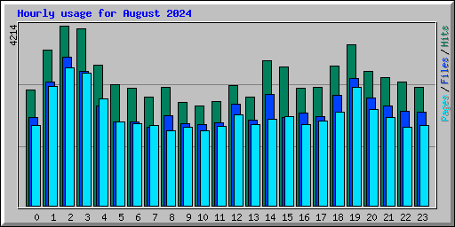 Hourly usage for August 2024