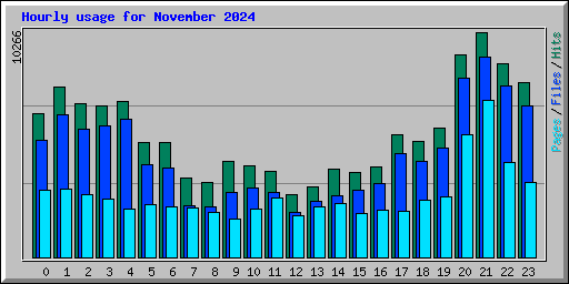 Hourly usage for November 2024