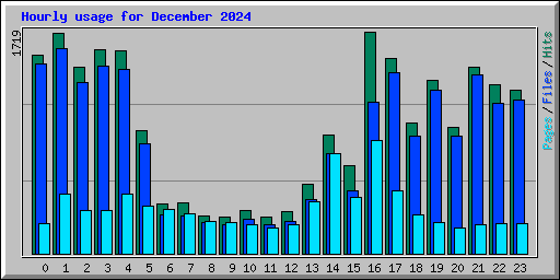 Hourly usage for December 2024