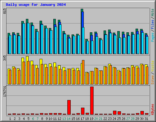 Daily usage for January 2024