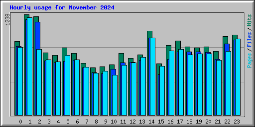 Hourly usage for November 2024