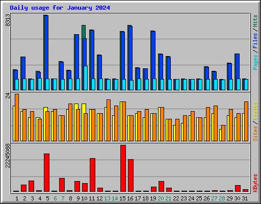 Daily usage for January 2024